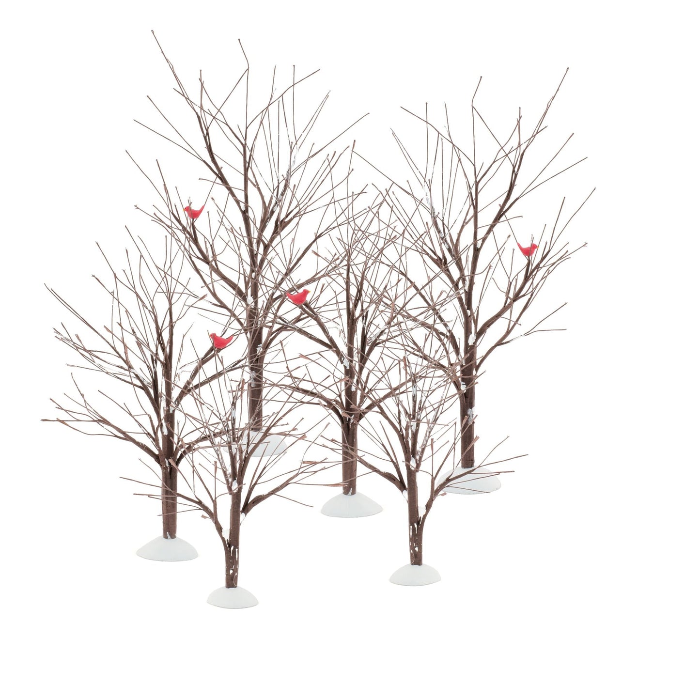 Bare Branch Tree