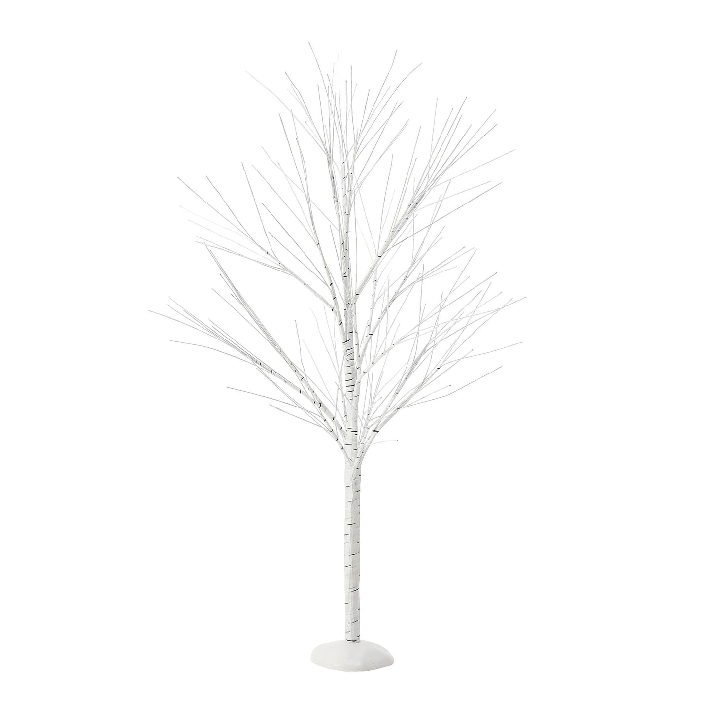 Birch Tree