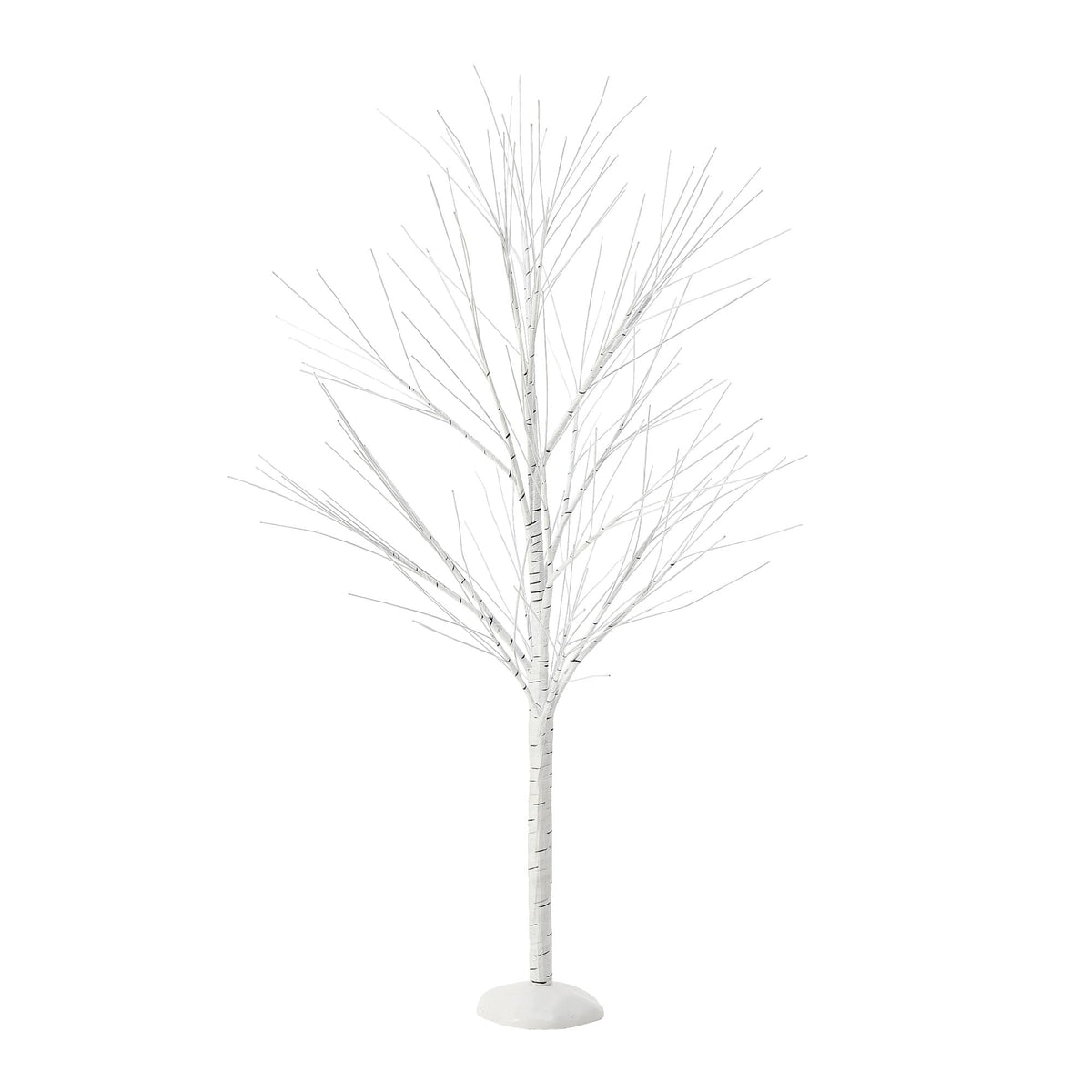Birch Tree
