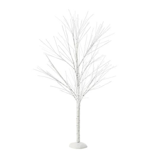 Birch Tree
