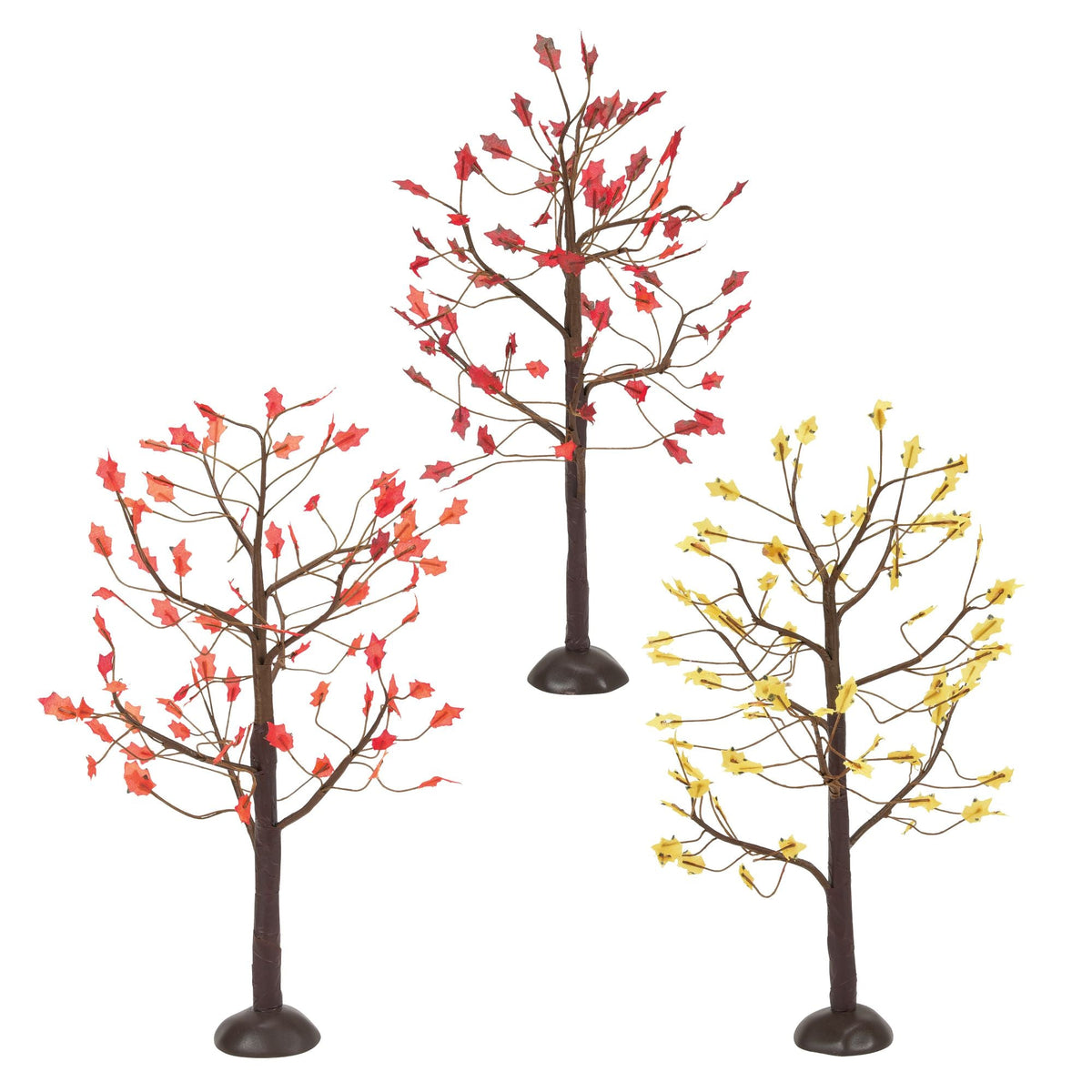 September Oaks S/3
